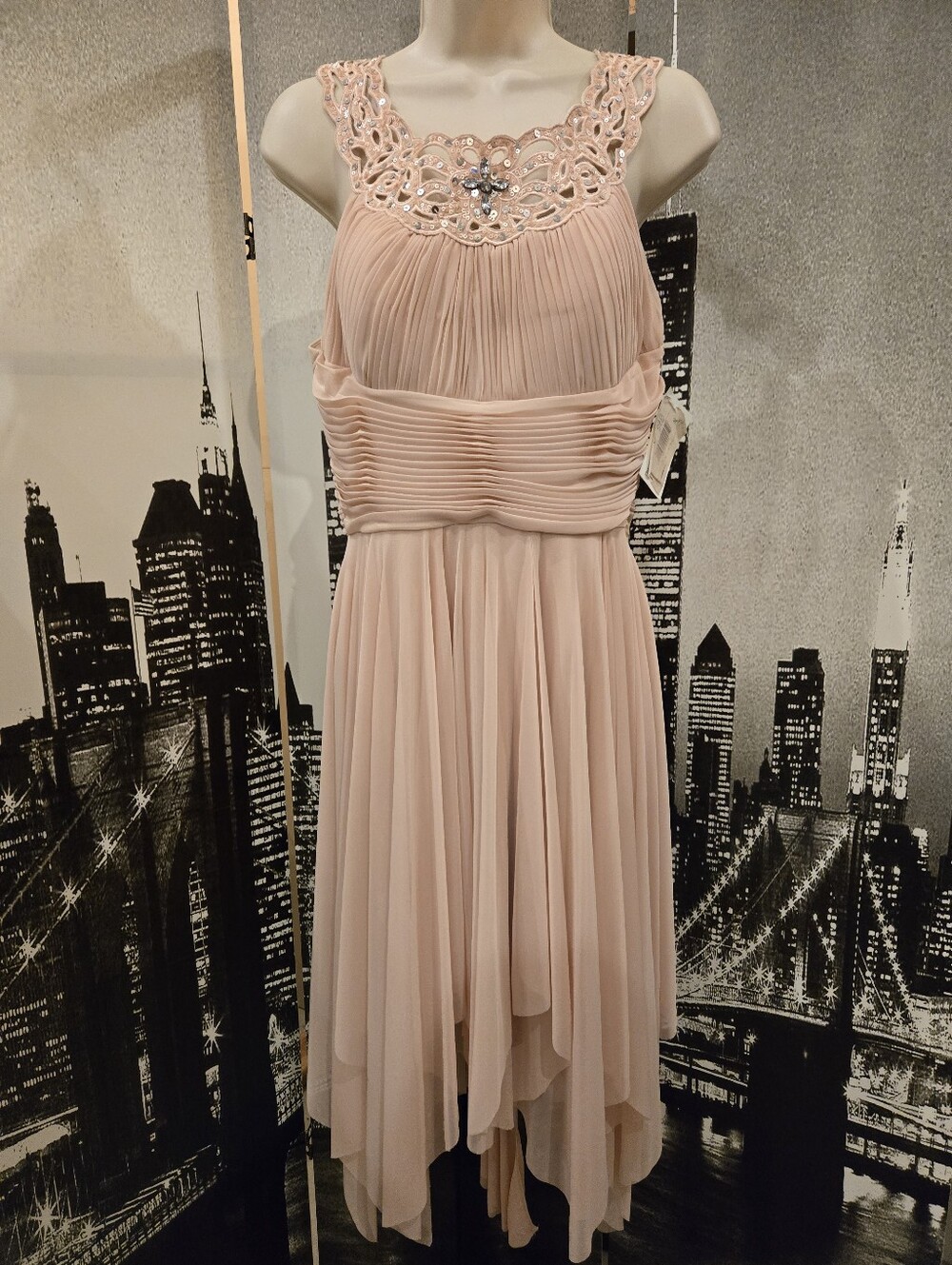 Cachet Size 8 Beaded Chiffon Polyester Dress
